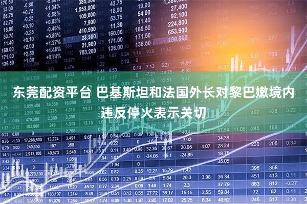 东莞配资平台 巴基斯坦和法国外长对黎巴嫩境内违反停火表示关切